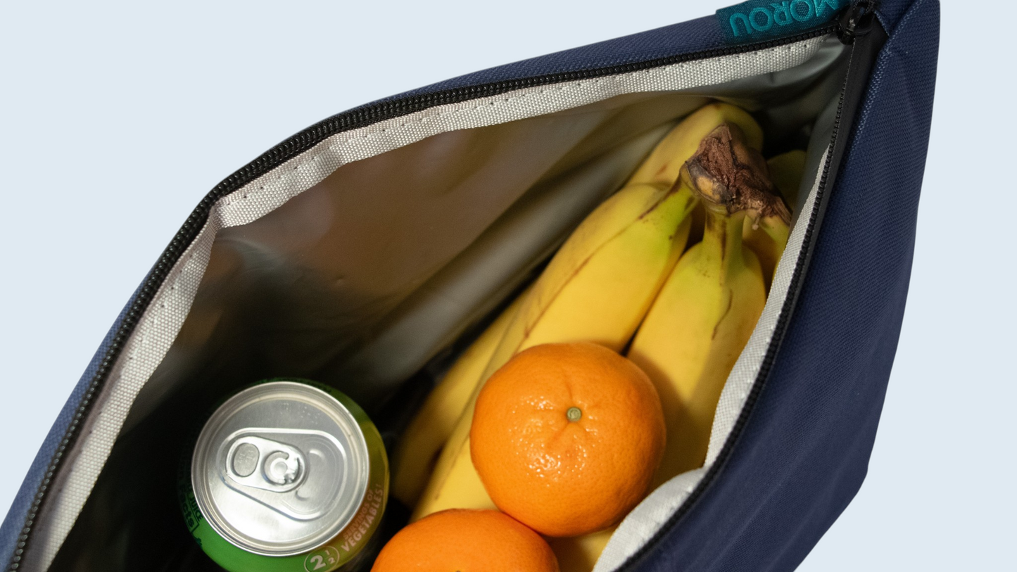 Lunch Bag- Blue