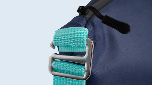 Lunch Bag- Blue